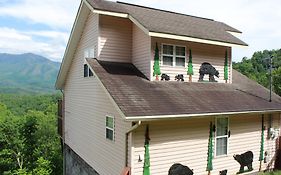 Heavenly View - Bear Themed Cabin, Hottub, Dog-Friendly, Near Gatlinburg