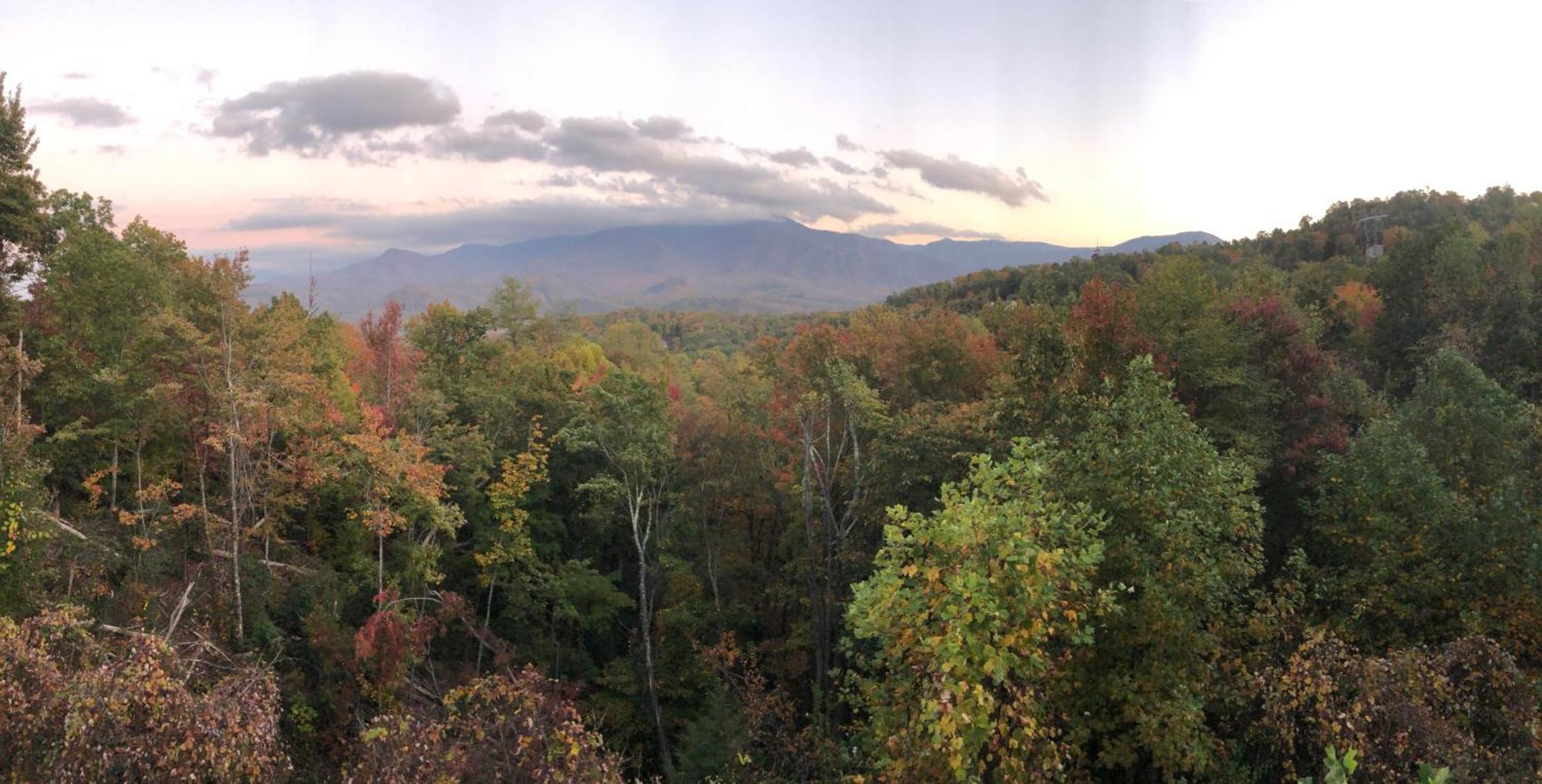 Heavenly View - Bear Themed Cabin, Hottub, Dog-Friendly, Near Gatlinburg Exterior photo