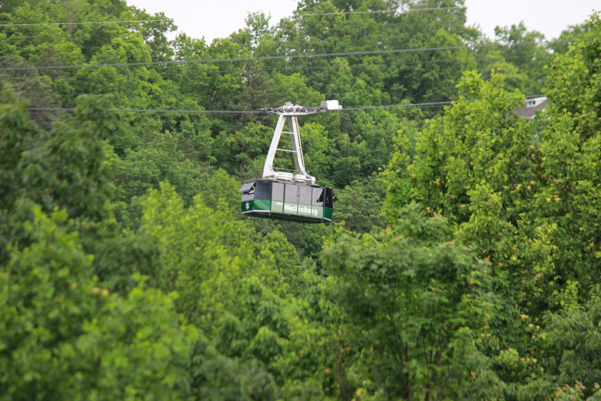 Heavenly View - Bear Themed Cabin, Hottub, Dog-Friendly, Near Gatlinburg Exterior photo
